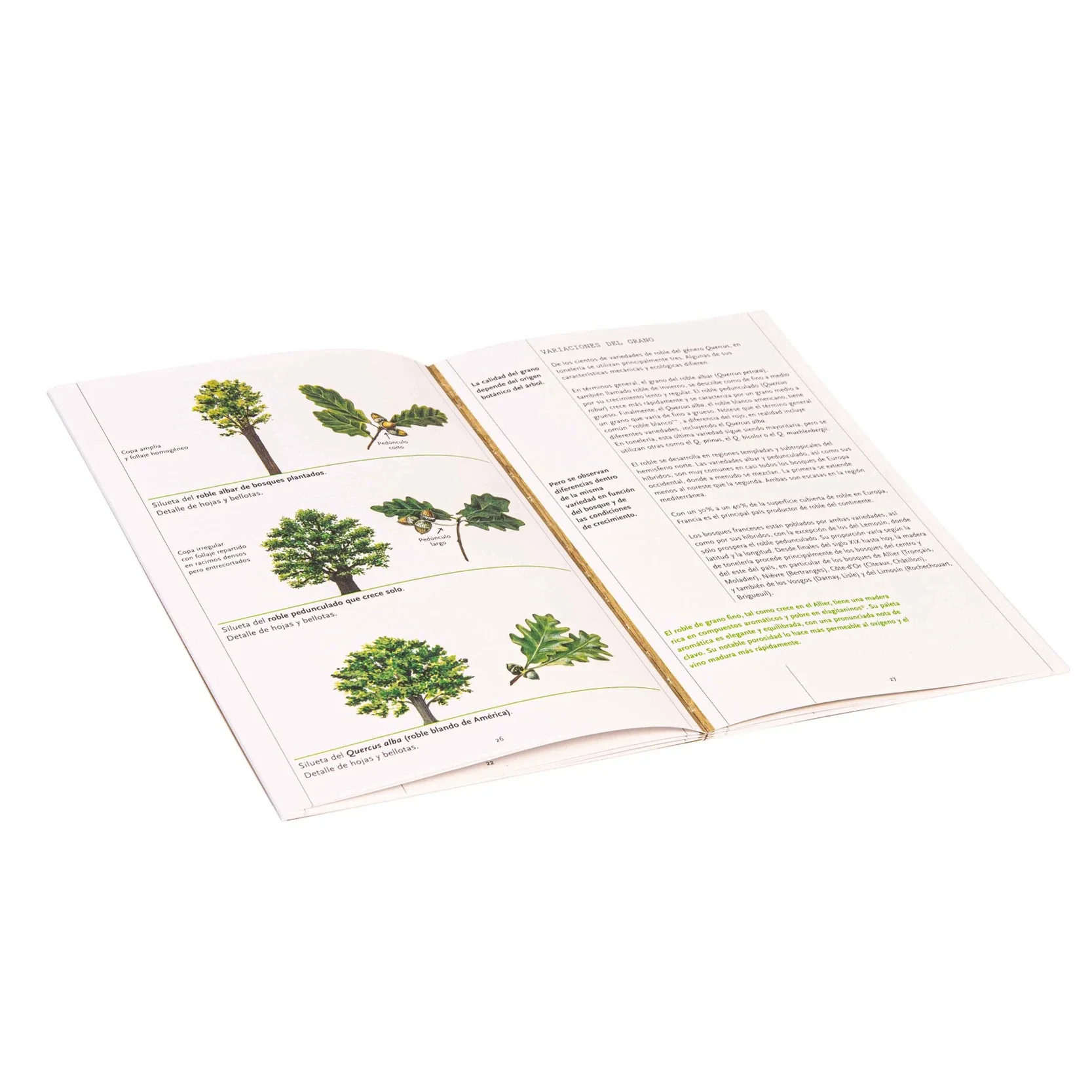 Imagen del producto 4